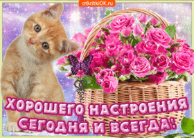 Прикольная картинка хорошего настроения с надписями. Радости и смеха повсюду