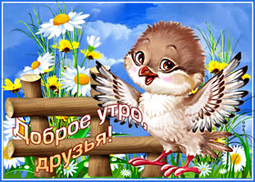 Классная картинка Доброе утро, друзья с воробьем