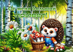 Классная летняя гиф-открытка От меня большой привет