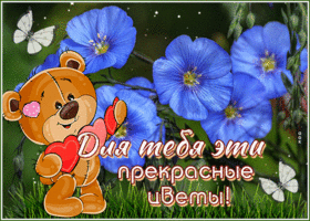 Классная открытка Для тебя эти прекрасные цветы!