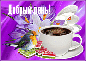 Классная открытка Добрый день! С птичкой