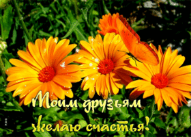 Классная открытка Желаю счастья моим друзьям!