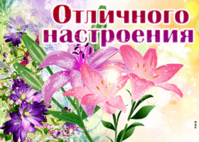 Классная открытка Отличного настроения с цветами