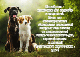 Классная открытка Прекрасного настроения, друг!