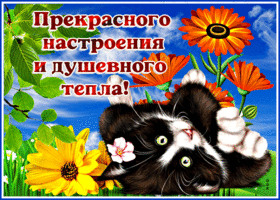 Классная открытка Прекрасного настроения и душевного тепла!