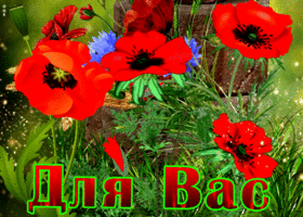 Классная открытка с маками для вас