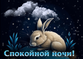 Классная открытка с маленьким зайчиком Спокойной ночи