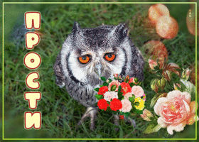Классная открытка с совой и цветами Прости
