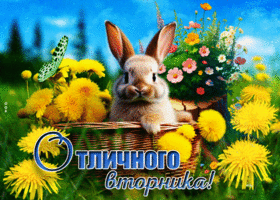 Красивая анимационная летняя открытка Отличного вторника