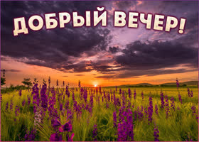 Красивая картинка добрый вечер. Чудесных дней