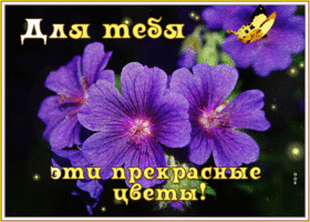 Красивая открытка Для тебя эти прекрасные цветы