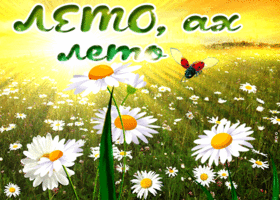 галерея пожеланий