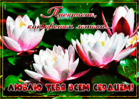 Красивая открытка любимой. Счастья и радости рядом