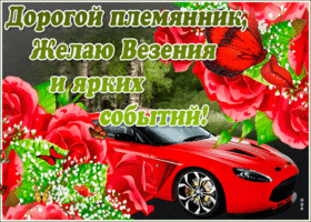 Красивая открытка племяннику