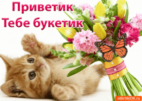 Привет. Счастья и гармонии каждый миг