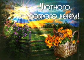 Красивая открытка Уютного, доброго вечера! С бабочкой