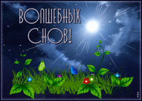 Красивая открытка Волшебных снов! С луной
