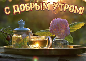 Красивая солнечная картинка доброе утро