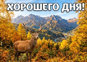 Красивого осеннего дня и хороших мыслей.