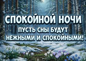 Красивых снов, тишины и душевного спокойствия.