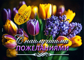 Красочная и радостная гиф-открытка С наилучшими пожеланиями