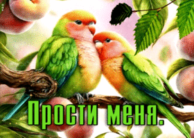 Красочная летняя гиф-открытка Прости меня