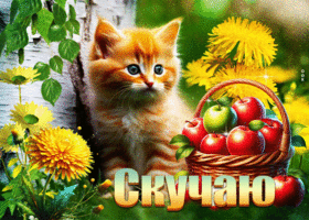 Яркая, милая летняя открытка Скучаю