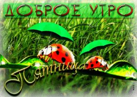 Красочная открытка Доброе утро! Пятница