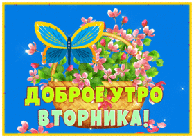 Красочная открытка Доброе утро вторника! С бабочкой