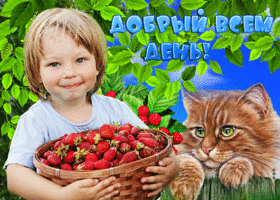 Красочная открытка Добрый всем день! С клубничкой