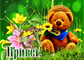 Красочная открытка с медвежонком Привет!