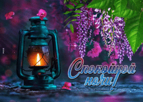 Красочная открытка Спокойной ночи! С цветочками