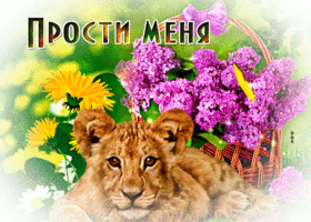 Креативная открытка прости