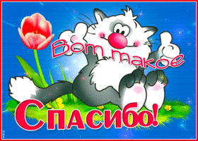 Креативная открытка вот такое спасибо