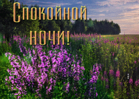 Крутая открытка с полем цветов Спокойной ночи