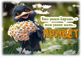 Кто умеет дарить - тот умеет жить. Привет