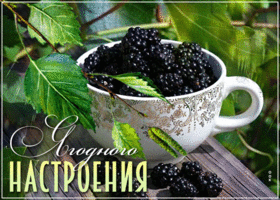 Легкая открытка с ежевикой Ягодного настроения