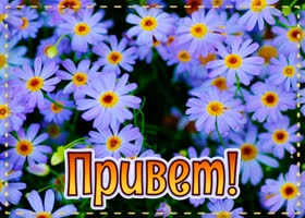 Летний приветик для тебя