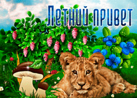 Летний приветик и солнечного настроения