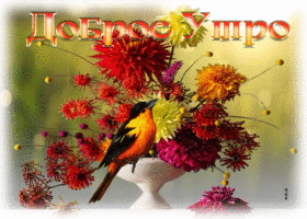 Лирическая, нежная гиф-открытка Доброе утро