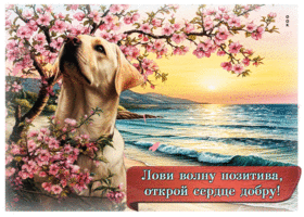 Лови волну позитива, открой сердце добру