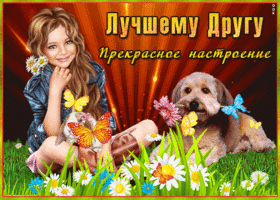 Лучшему другу прекрасного настроения
