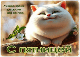 Лучшее время для жизни - это сейчас. С пятницей