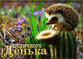 Лёгкая, гармоничная открытка Отличного денька