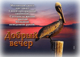 Магнитом тянет нас закат своей прозрачной тишиной