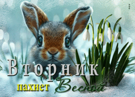 Мечтательная открытка Вторник пахнет весной