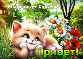 Меня зовут Счастье и я буду жить у тебя! Привет!