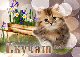 Мерцающая открытка с котенком Скучаю