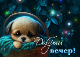 Милая и очаровательная гиф-открытка с щенком Добрый вечер