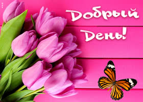 Милая картинка добрый день. Света и уюта